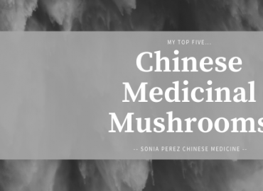 Chinese Medicinal Mushrooms